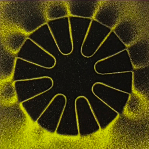 Axial sixteen pole magnetization